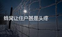 蜂窩讓住戶甚是頭疼  消防員來幫忙