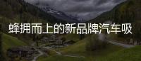 蜂擁而上的新品牌汽車吸引力堪憂