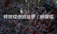 蜂媒蝶使的意思（蜂媒蝶使的出處及造句）
