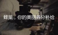 蜂巢，你的美麗養(yǎng)分補(bǔ)給站