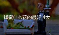 蜂蜜什么花的最好 4大王蜜pk