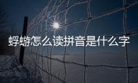 蜉蝣怎么讀拼音是什么字（蜉蝣怎么讀）