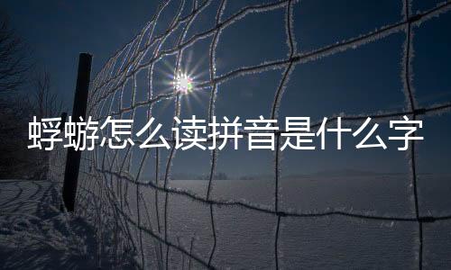 蜉蝣怎么讀拼音是什么字（蜉蝣怎么讀）