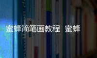 蜜蜂簡筆畫教程  蜜蜂簡筆畫畫法