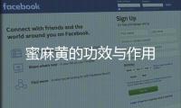 蜜麻黃的功效與作用