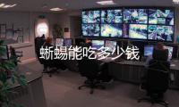 蜥蜴能吃多少錢