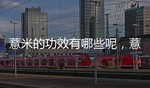 薏米的功效有哪些呢，薏米可美容養顏