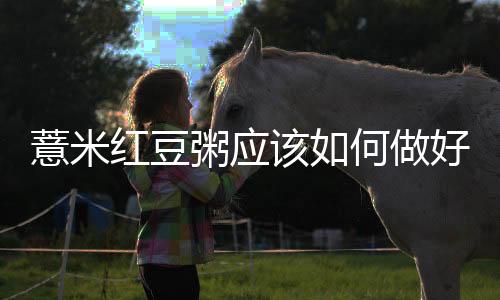 薏米紅豆粥應(yīng)該如何做好吃