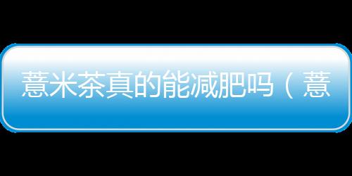薏米茶真的能減肥嗎（薏米茶）