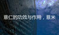 薏仁的功效與作用，薏米怎么吃呢