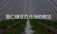 薏仁綠豆百合湯的做法