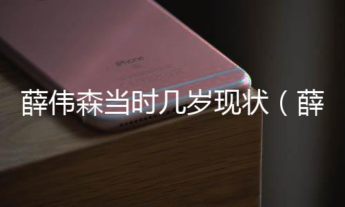 薛偉森當時幾歲現狀（薛偉森）