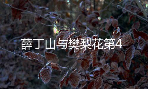 薛丁山與樊梨花第4