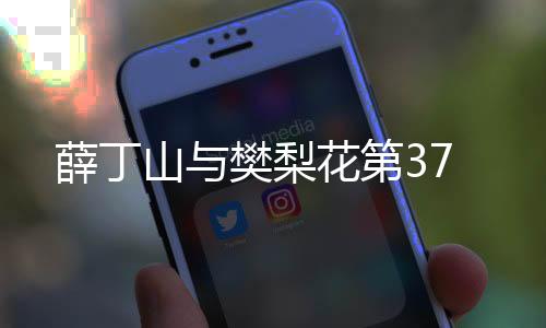 薛丁山與樊梨花第37