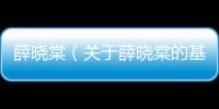 薛曉棠（關于薛曉棠的基本情況說明介紹）