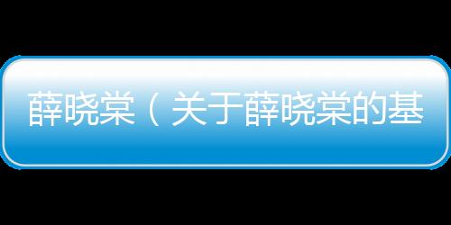 薛曉棠（關于薛曉棠的基本情況說明介紹）