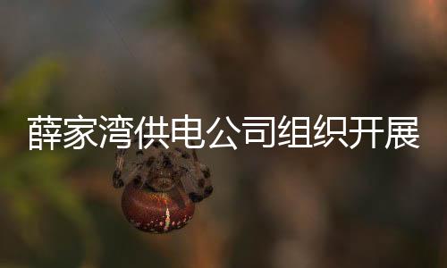 薛家灣供電公司組織開展用戶資產現場核查工作