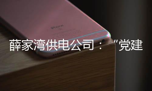 薛家灣供電公司：“黨建+安全”深度融合 守牢安全生產防線