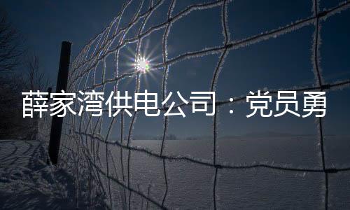薛家灣供電公司：黨員勇當春查先鋒