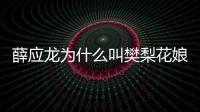 薛應(yīng)龍為什么叫樊梨花娘（薛應(yīng)龍）