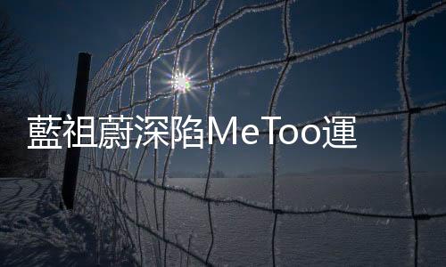 藍祖蔚深陷MeToo運動下臺，資深媒體人褚明仁接任影視聽中心董事長
