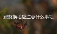 藏獒換毛應(yīng)注意什么事項(xiàng)(藏獒換毛應(yīng)注意什么問題)