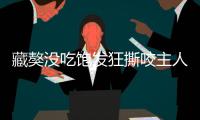 藏獒沒吃飽發狂撕咬主人 警方趕到后將其擊斃