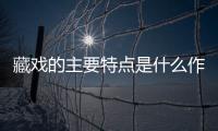 藏戲的主要特點(diǎn)是什么作者是從哪幾個(gè)方面來介紹的