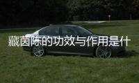 藏茵陳的功效與作用是什么？（全面解析藏茵陳的藥用價值）