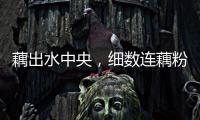 藕出水中央，細數連藕粉的養身妙用