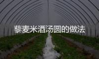 藜麥米酒湯圓的做法