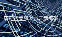蘑菇街美股上市開盤即破發(fā) 市值不及拼多多零頭