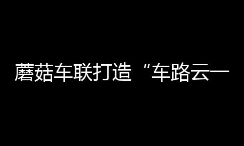 蘑菇車聯(lián)打造“車路云一體化”系統(tǒng)級方案