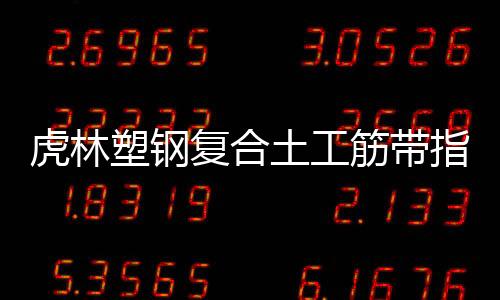 虎林塑鋼復合土工筋帶指標