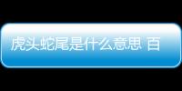 虎頭蛇尾是什么意思 百度網盤（虎頭蛇尾是什么意思）