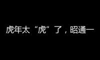 虎年太“虎”了，昭通一群老師正月給學生拜年