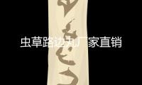 蟲草路邊丸廠家直銷