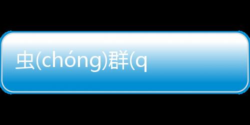 蟲(chónɡ)群(qún)避(bì)鎖(suǒ)看看網友是如何評論的！