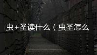 蟲+圣讀什么（蟲圣怎么讀）