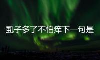 虱子多了不怕癢下一句是什么	 虱子多了不怕癢下一句是什么