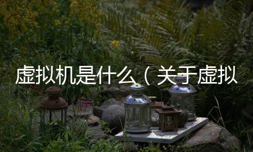 虛擬機是什么（關于虛擬機是什么的基本情況說明介紹）