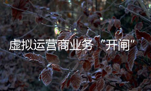 虛擬運營商業務“開閘”：普通用戶打電話有望免費