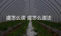 虞怎么讀 虞怎么讀法