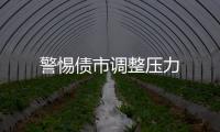 警惕債市調整壓力