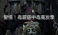 警惕！毒蘑菇中毒高發季到了
