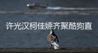 許光漢柯佳嬿齊聚酷狗直播 開(kāi)啟《想見(jiàn)你》專(zhuān)場(chǎng)音樂(lè)會(huì)