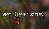 許村“紅馬甲”助力春運回家路