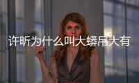 許昕為什么叫大蟒吊大有關嗎（許昕為什么叫大蟒）