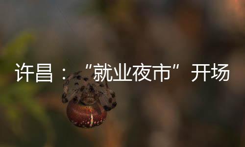 許昌：“就業(yè)夜市”開場了丨關注高校畢業(yè)生就業(yè)