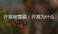 許嵩被雪藏（許嵩為什么被封殺）